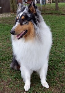 IMG_20170509_101414211_HDR